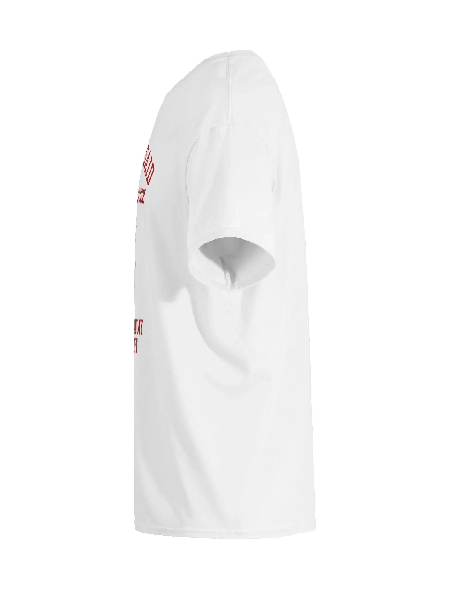 When I Said I Liked Rough I Didn't Mean My Entire T-Shirt product image (9)