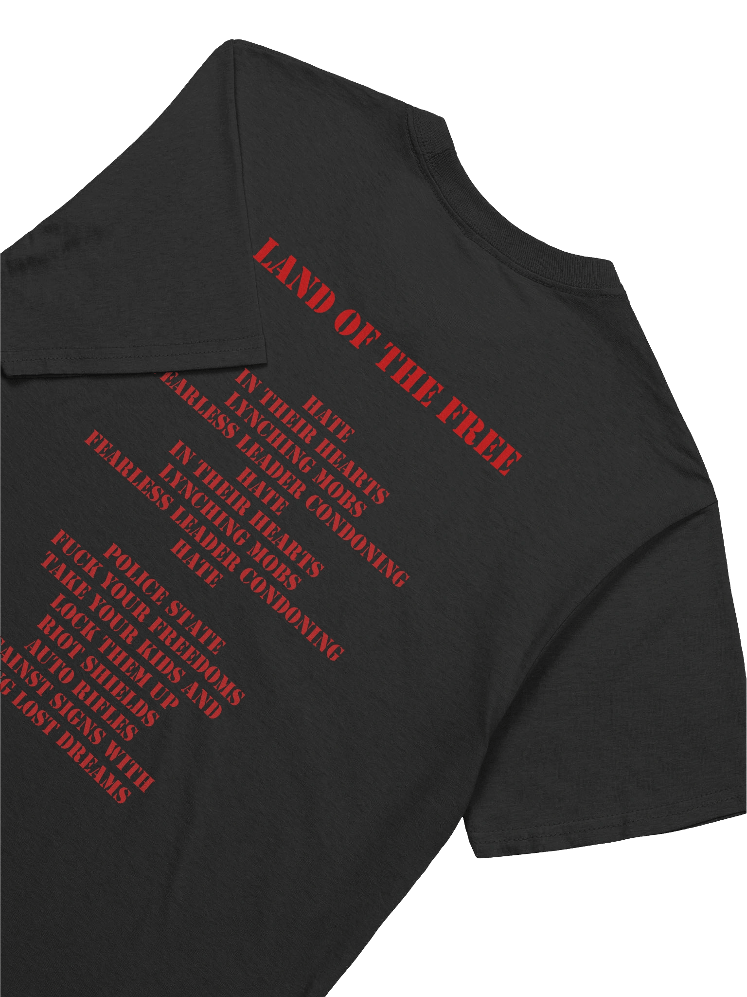 Riot Age Unisex "Land of the Free" Lyric Shirt product image (8)