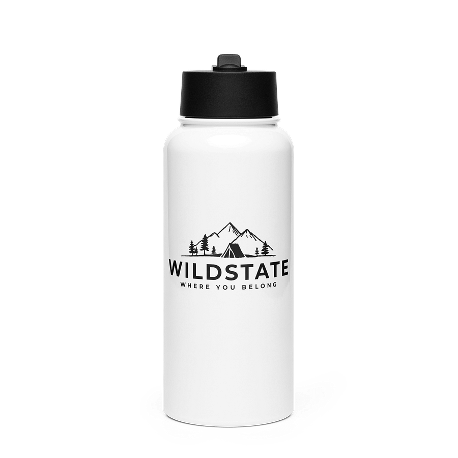 Stainless Steel Water Bottle with a Straw Lid - Wildstate product image (1)