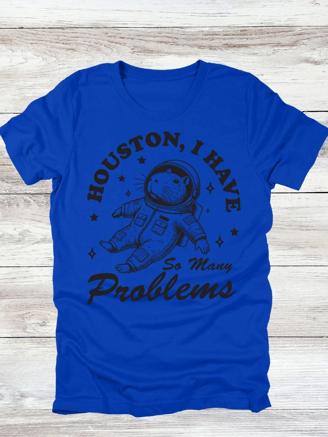 Houston, I Have So Many Problems Capybara T-Shirt product image (10)