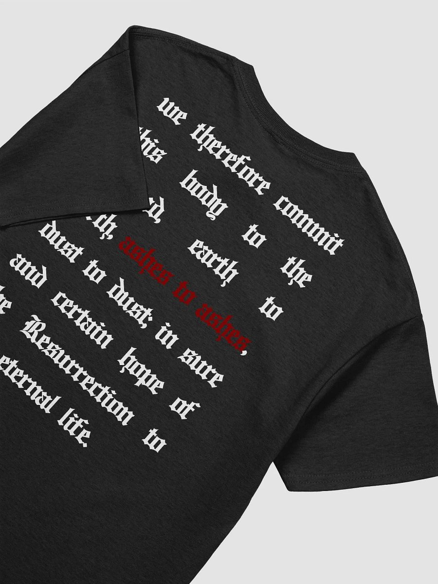 Ashes Monologue T-Shirt product image (4)
