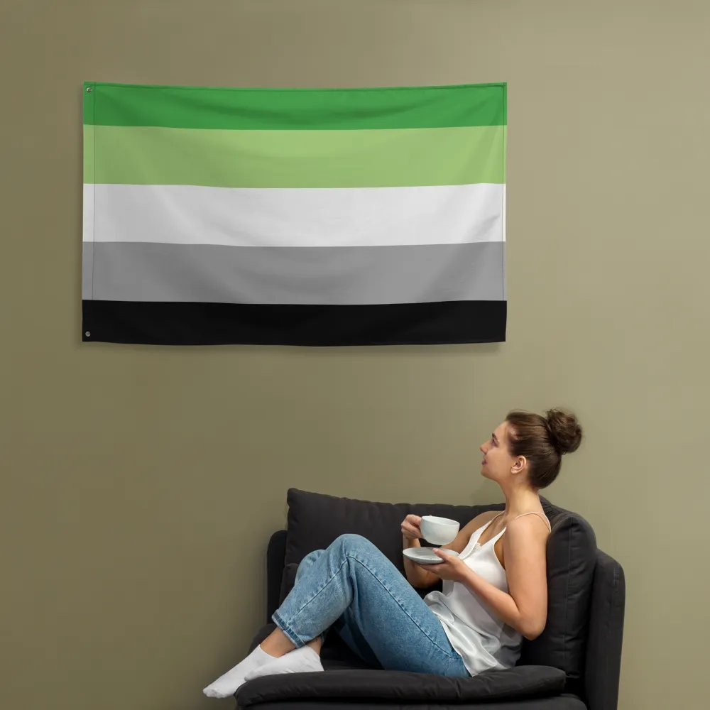 Aromantic Flag product image (12)