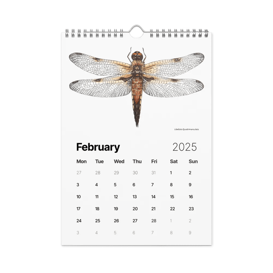 INSECTUM ABSTRACTUS - 2025 Calendar product image (7)