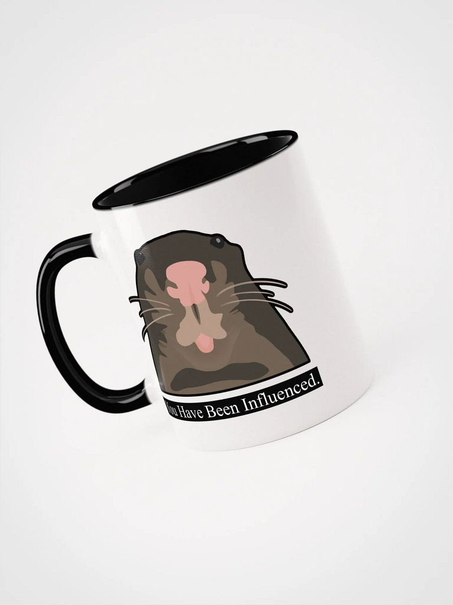 You Have Been Influenced Mug product image (35)