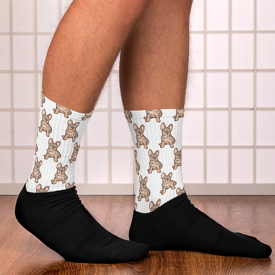 Albsterz Kiwi Socks product image (13)