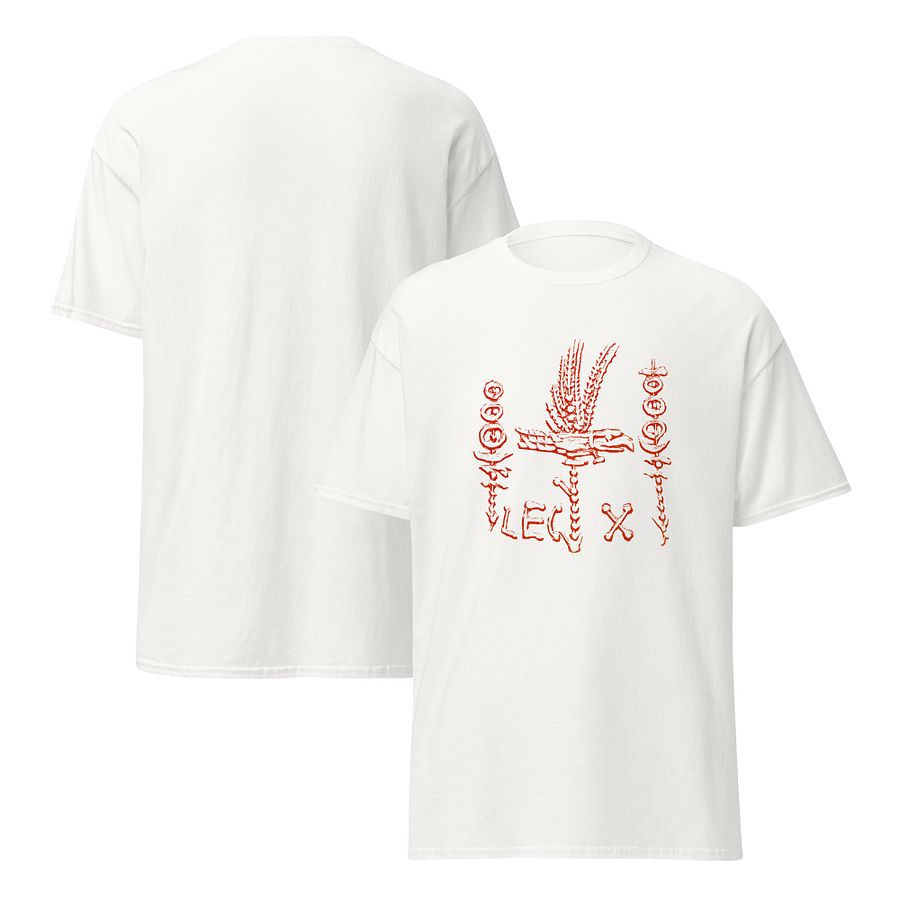 Legion X Legionary Standards Insignia Ancient Rome Art circa 31 BC, T-Shirt product image (14)