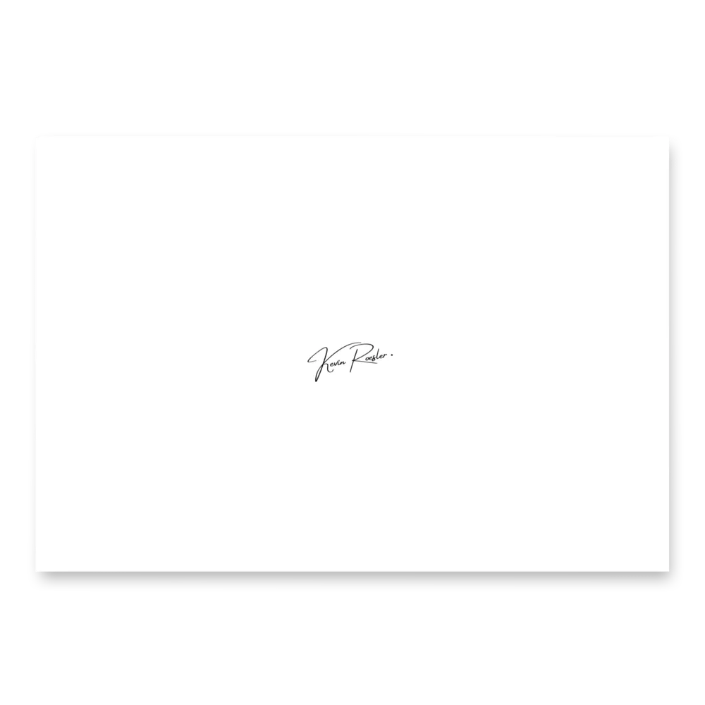 Elegant Roesler Wrapping Paper Set product image (3)