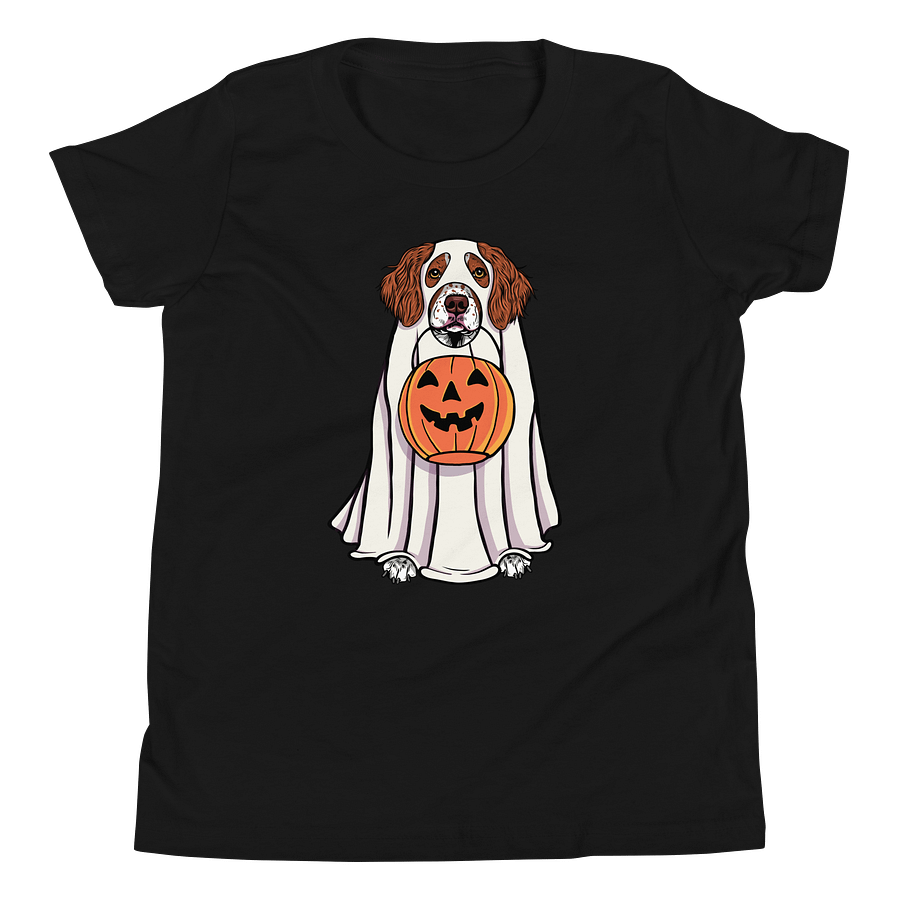 Halloween Brittany Spaniel Youth T-Shirt product image (8)