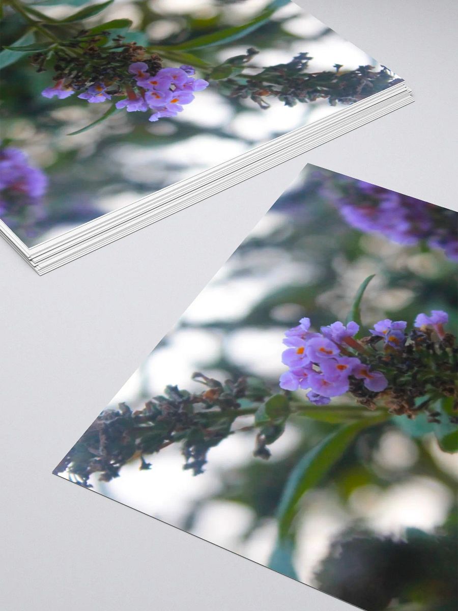 A Study in Flowers 5 - Sticker version product image (10)