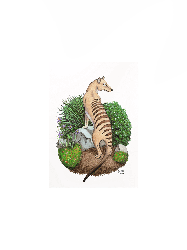 Thylacine - Art Print product image (2)