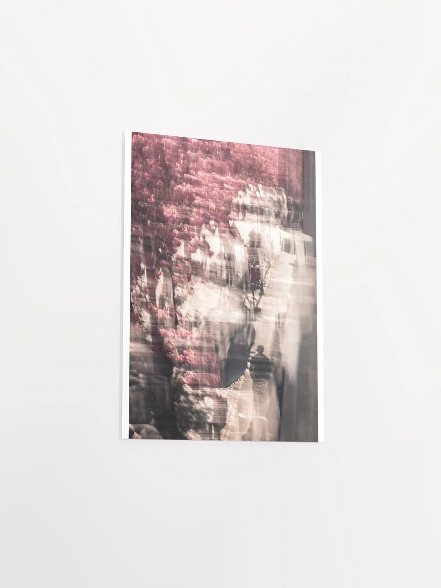 A Stroll under the Cherry trees - Print product image (4)