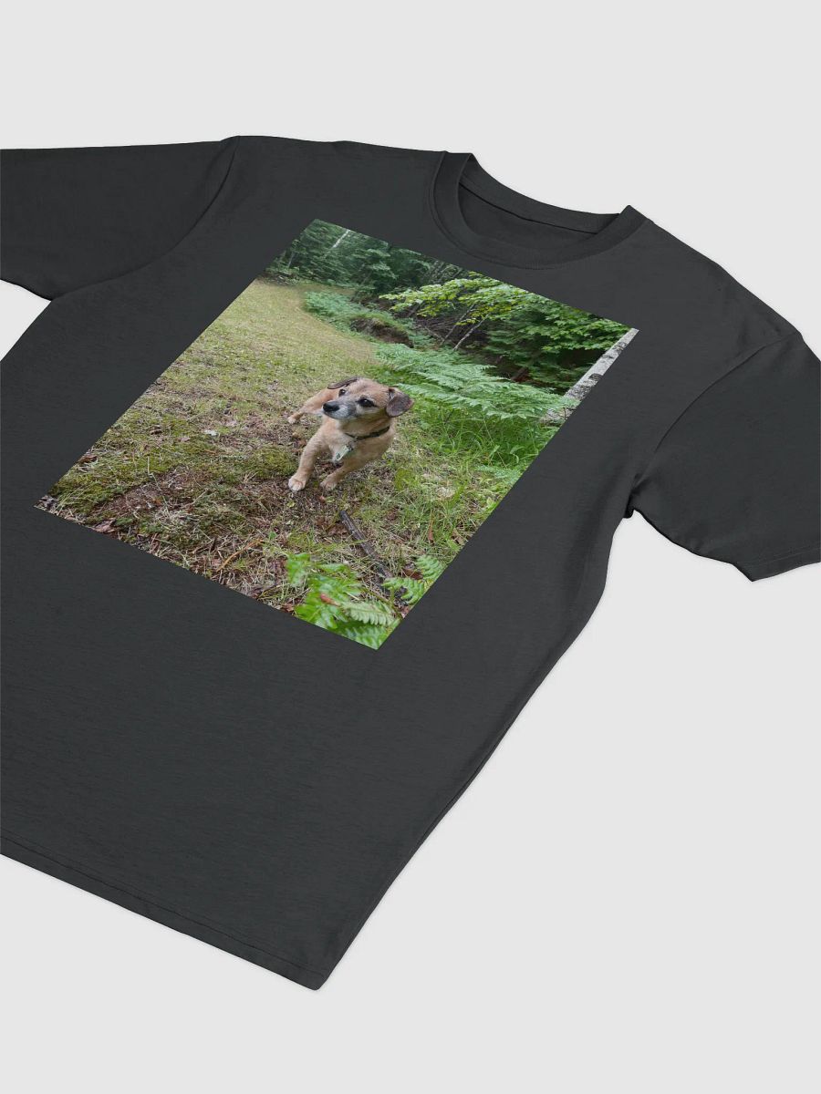 Rocky Tee product image (3)