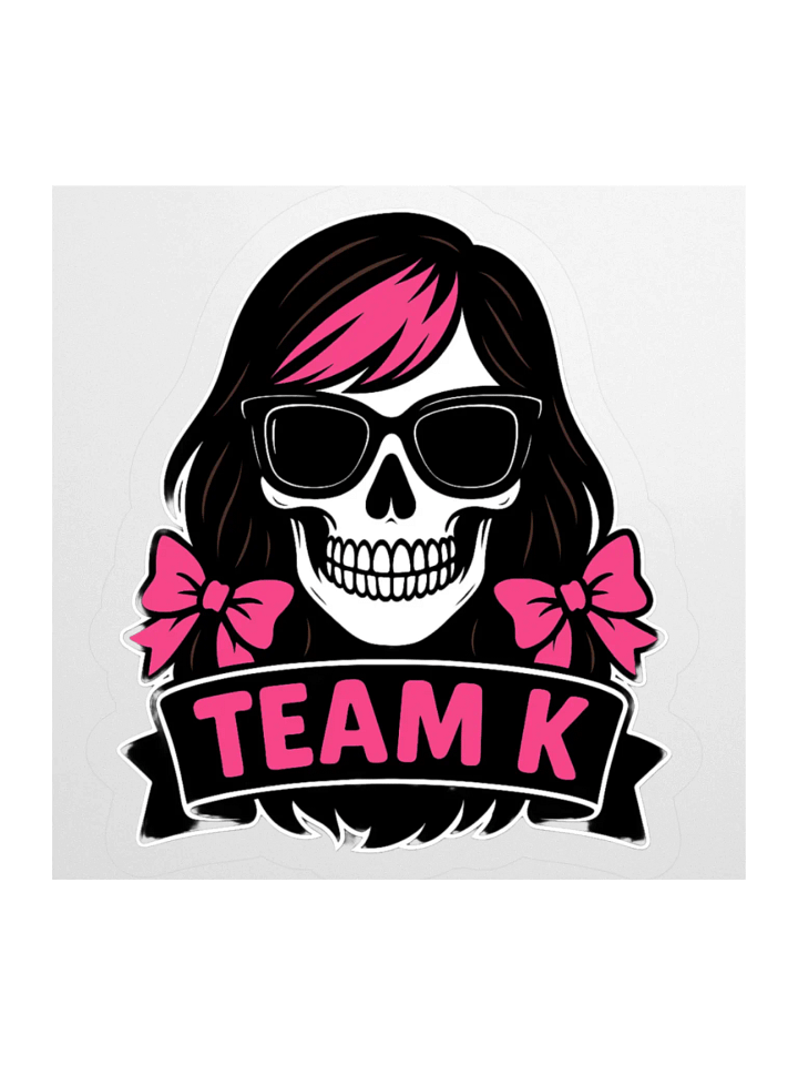 TEAM K (V-6) STICKERS product image (2)