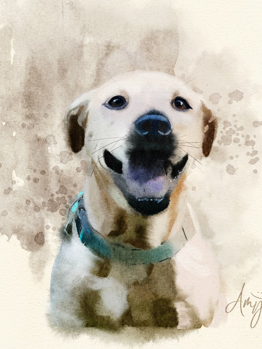 Pet Portrait - Digital Only product image (11)