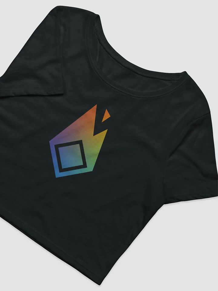 Pride Flame Crop Top product image (2)