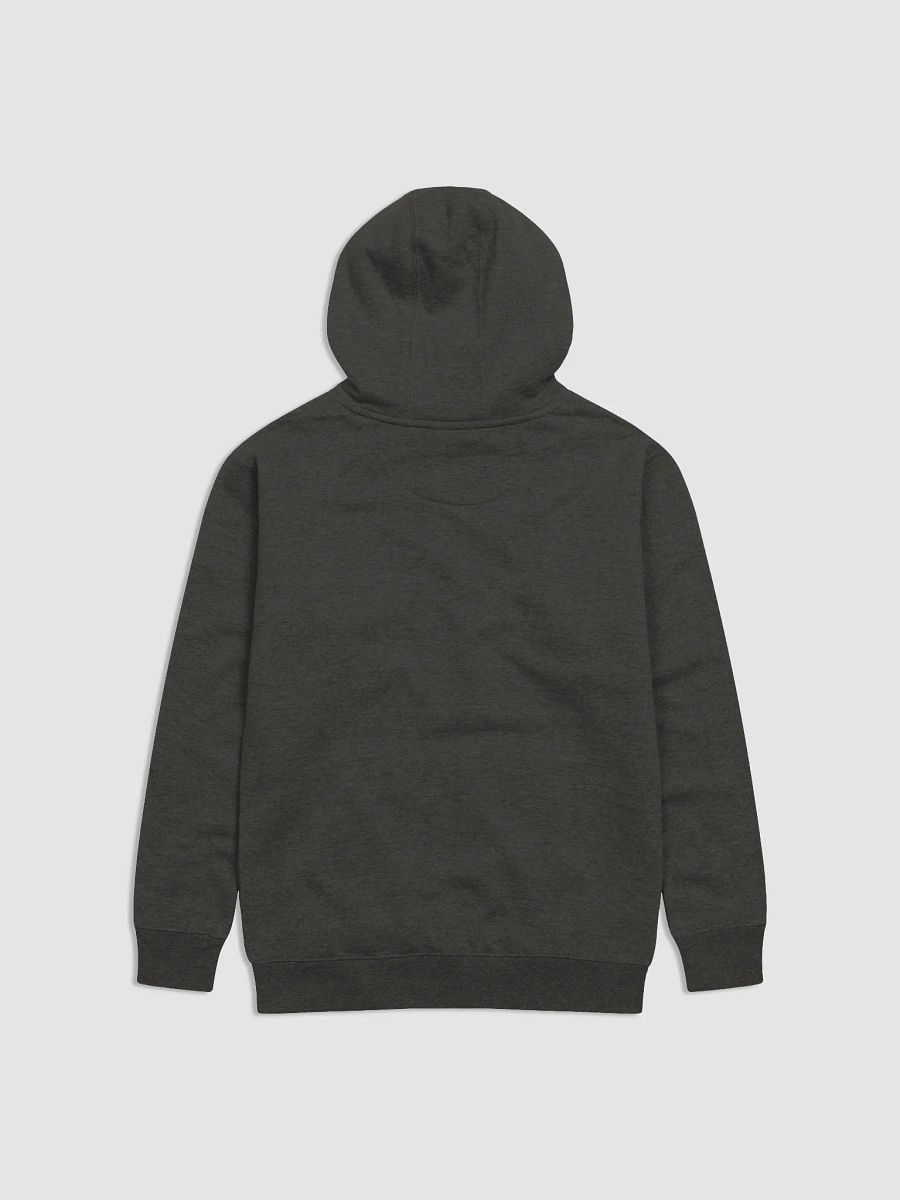 take the plunge, physics graffiti hooddie product image (2)