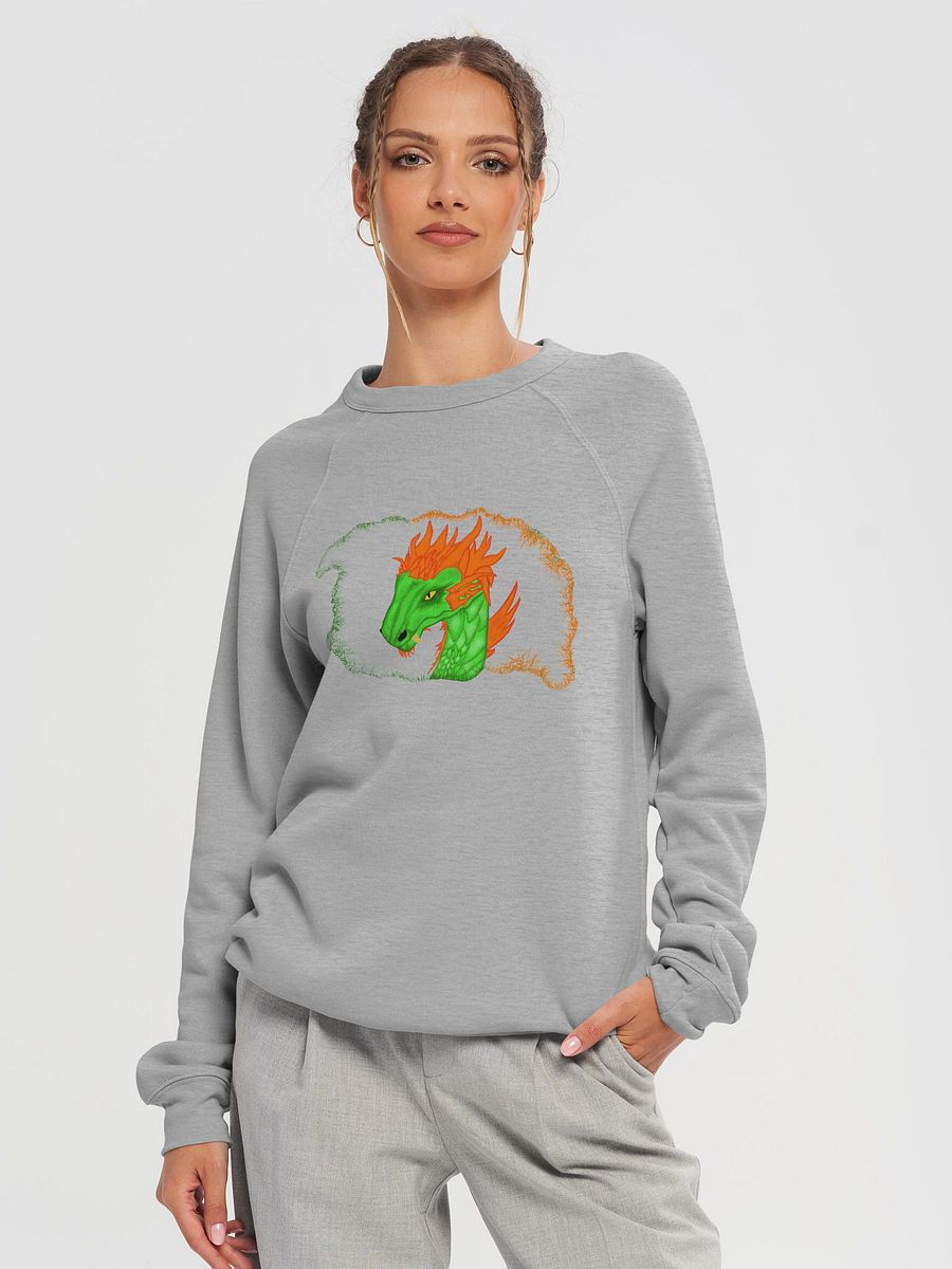 Dragon's Fury Raglan Sweatshirt product image (4)