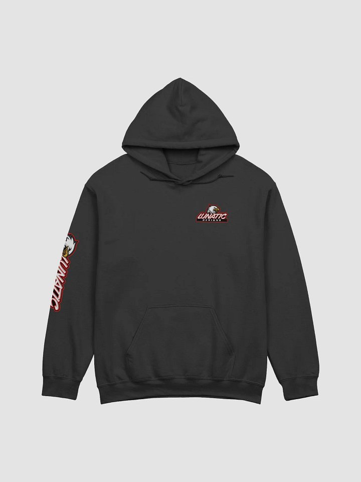 Lunatic Designs Hoodie product image (1)