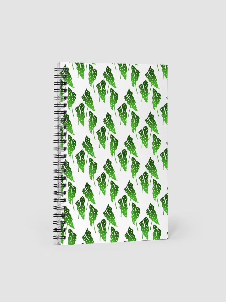 Begonia Maculata Print product image (1)