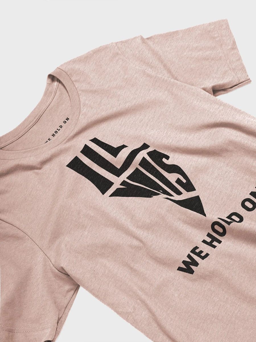 ILLINOIS Tee product image (16)