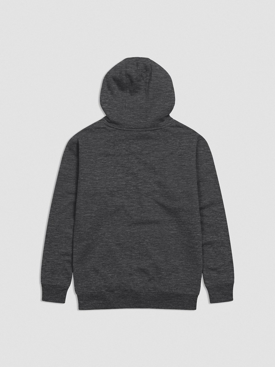 Poperratic Babysitter Embroidered Hoodie product image (16)
