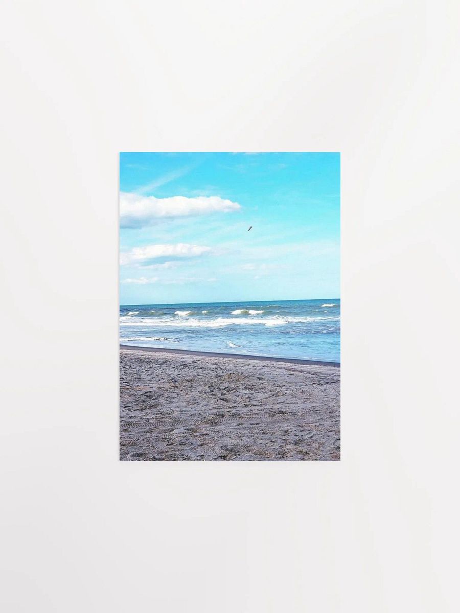 Wilber By The Sea product image (3)