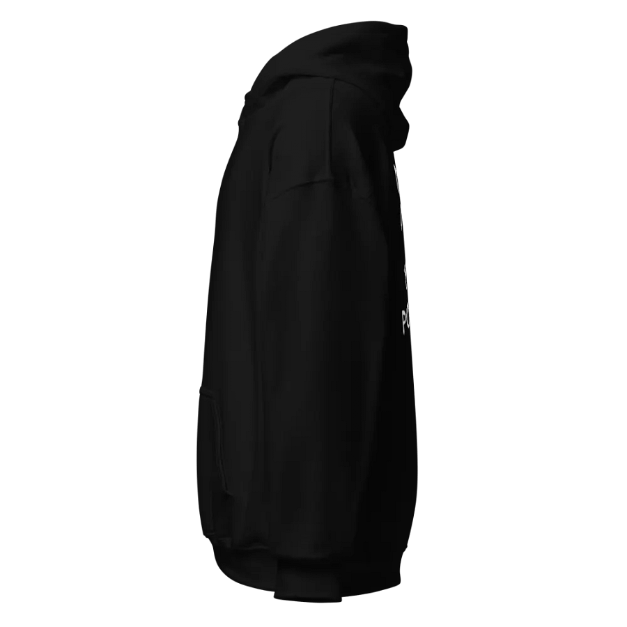 NEED MONEY FOR PORSCHE HOODIE product image (3)