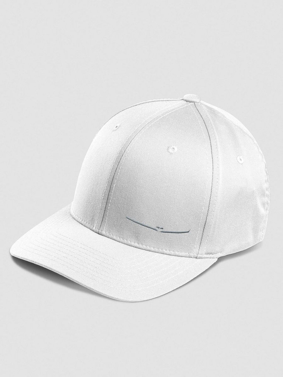 JL Fitted - SILVER LTD product image (1)