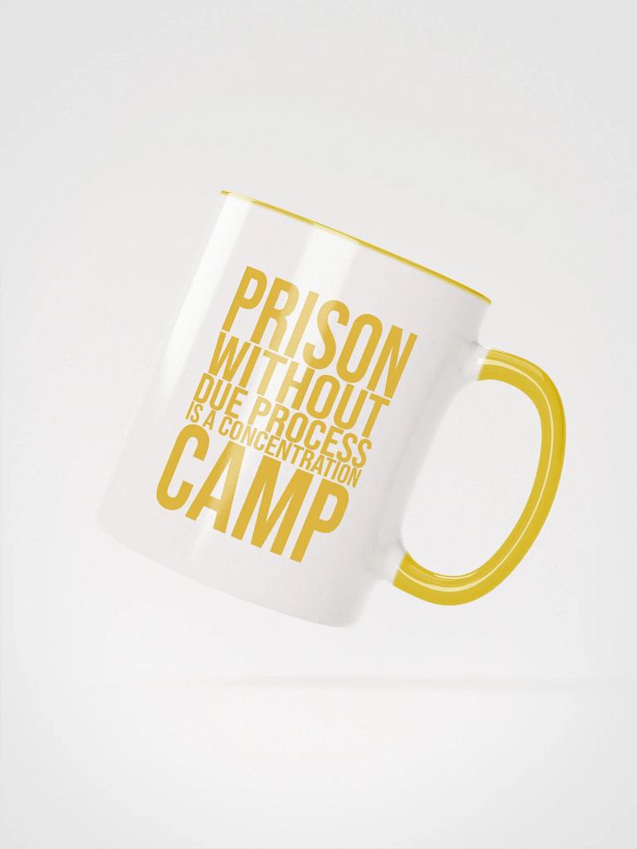 Due Process Concentration Camp Mug- Being Liberal product image (2)