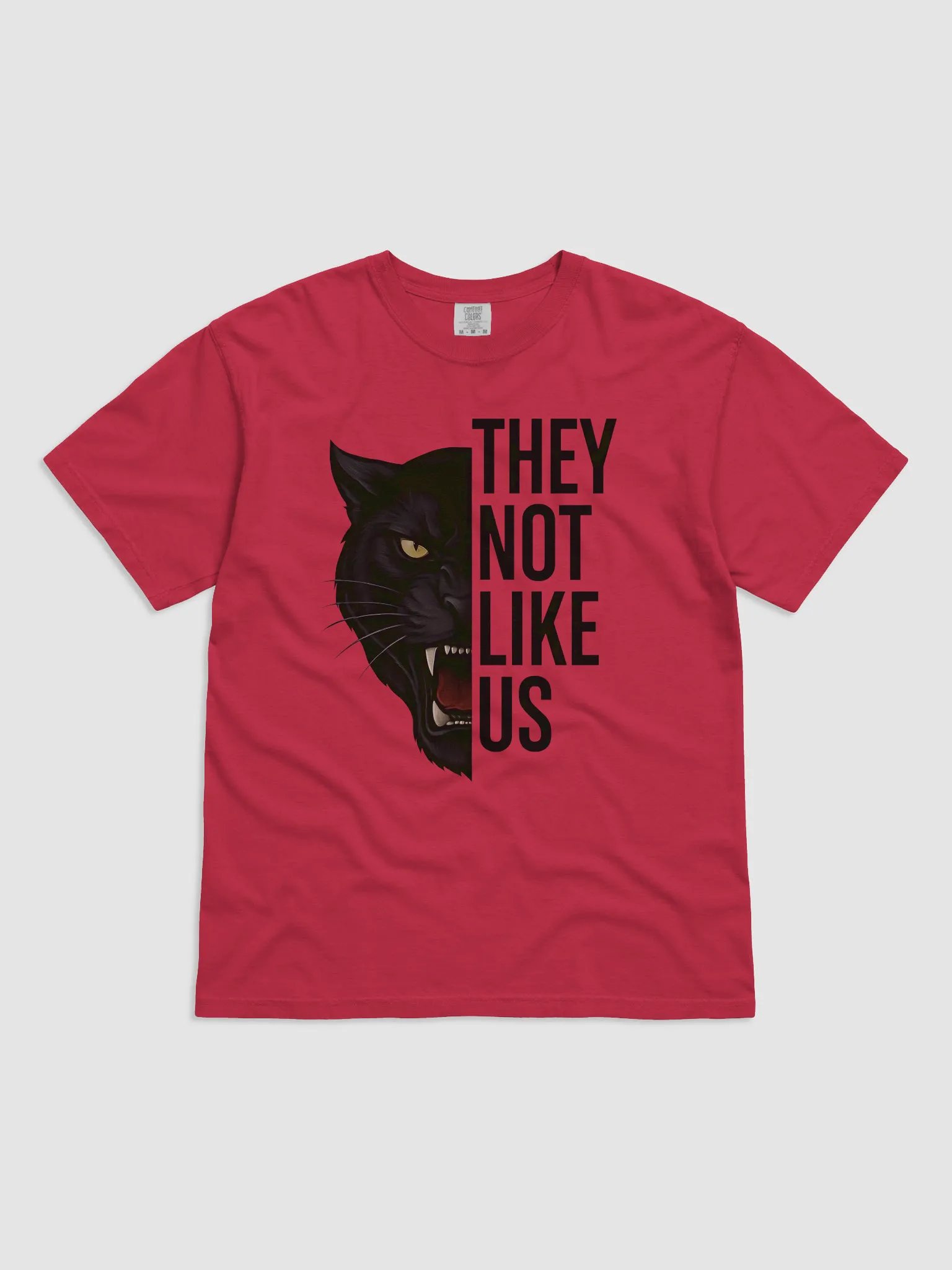 They Not Like Us Tee product image (5)