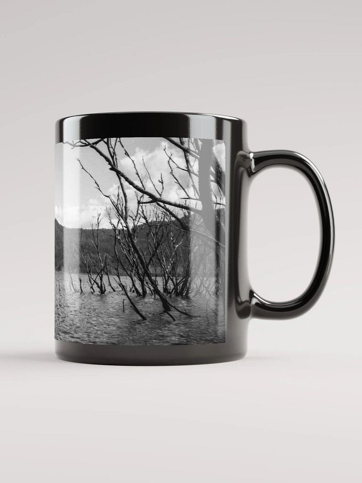 Advancetown Lake product image (1)
