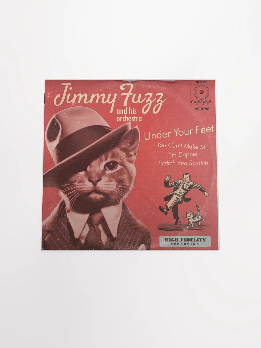 Jimmy Fuzz poster - Under Your Feet album jacket (front) - 12