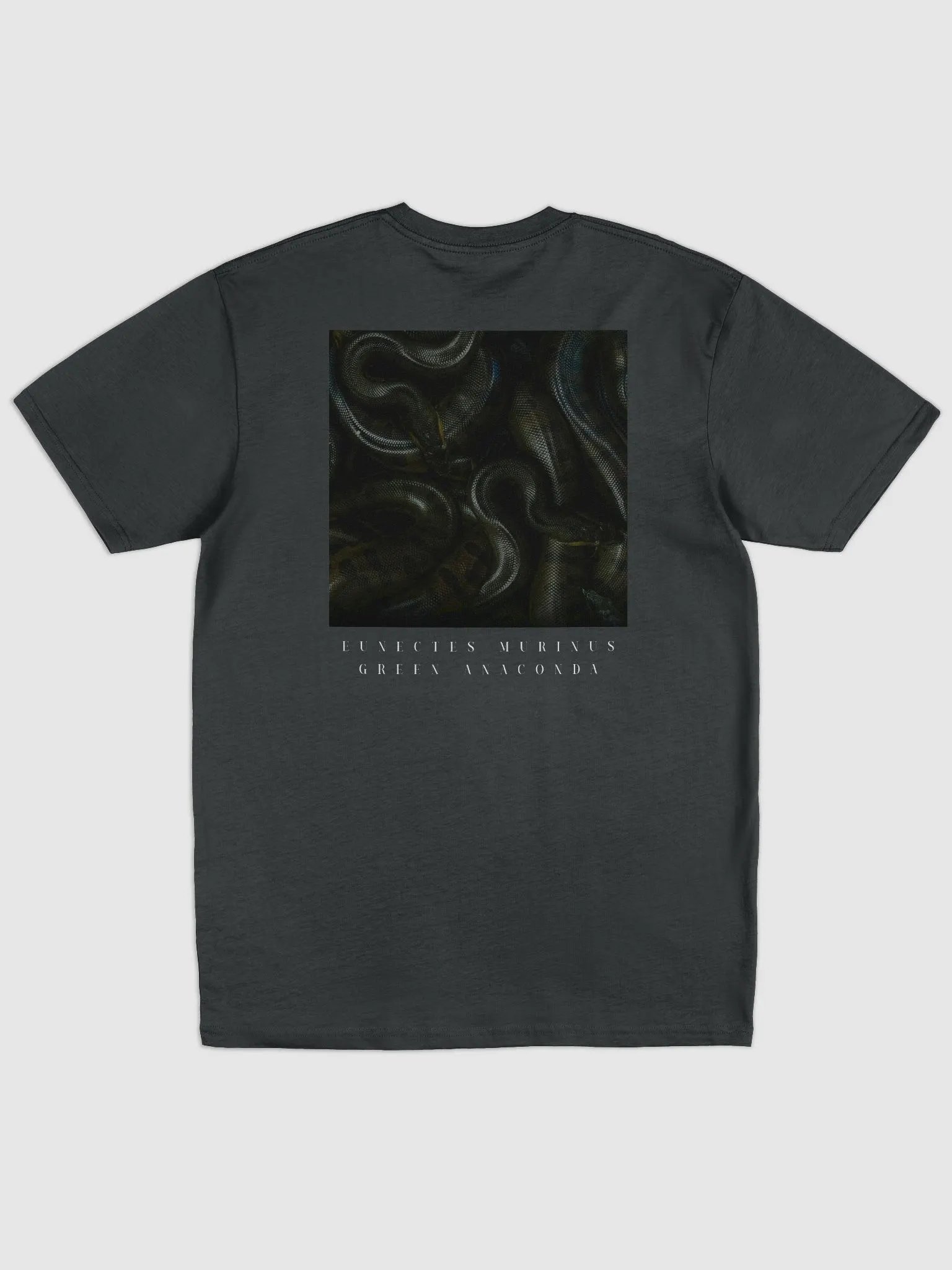 Eunectes murinus tee product image (2)