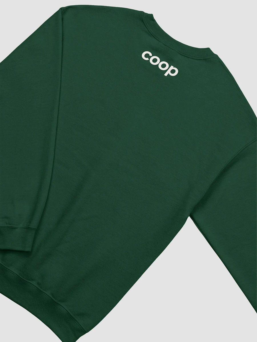 Coop Holiday Sweater product image (2)