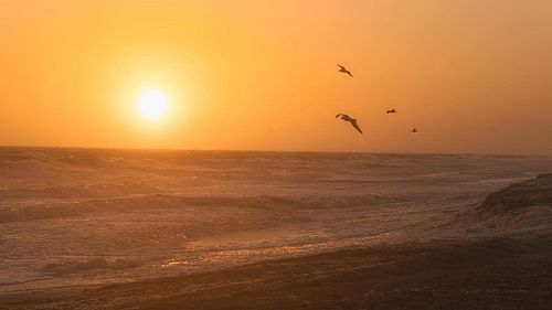 04.01 🌅 
Sandy Atmosphere from 40MPH winds 💨