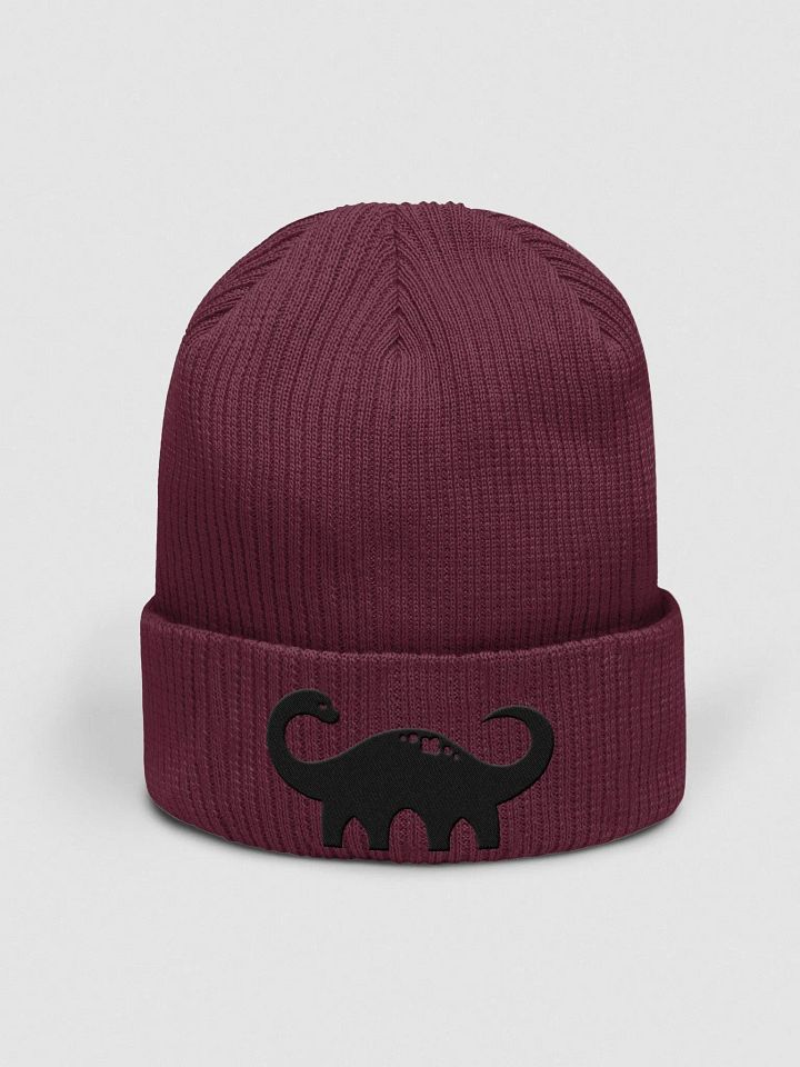Flam's Dino Beanie product image (5)