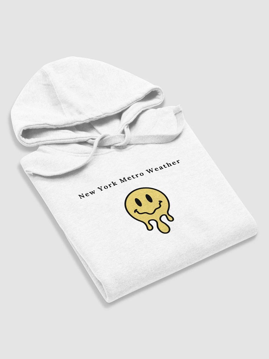 NYMW Seasons Hoodie product image (6)