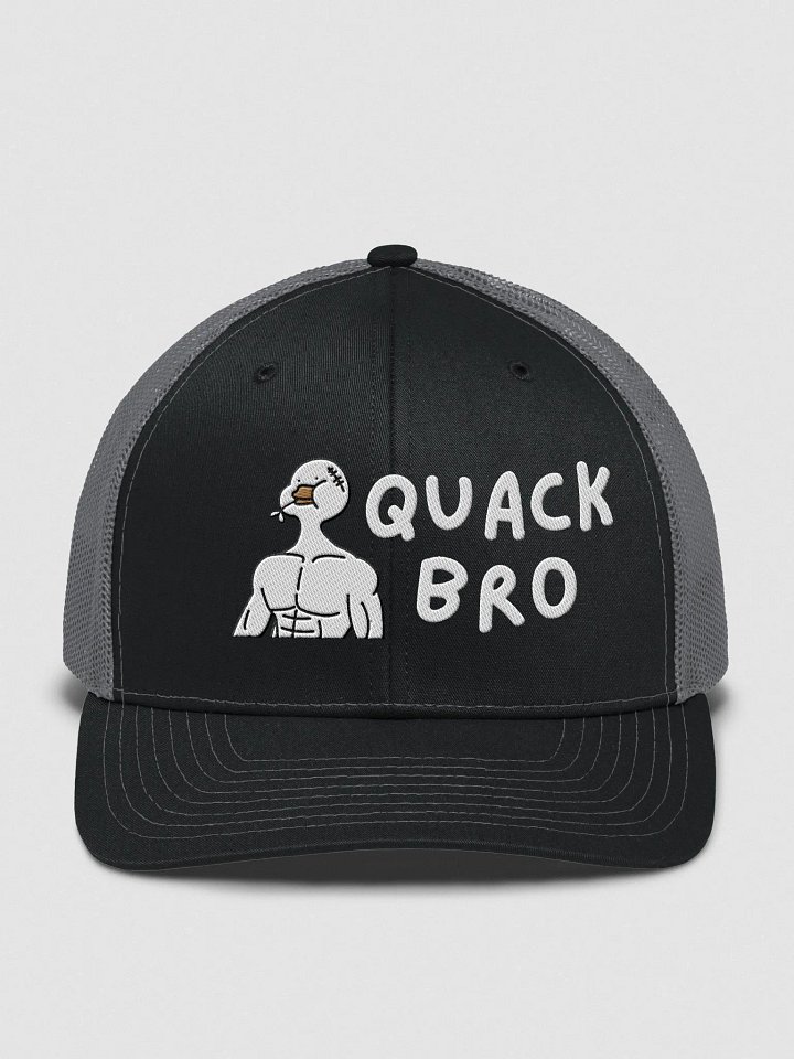 Duck Hat product image (3)
