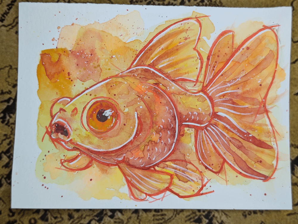 Fancy Goldfish product image (1)