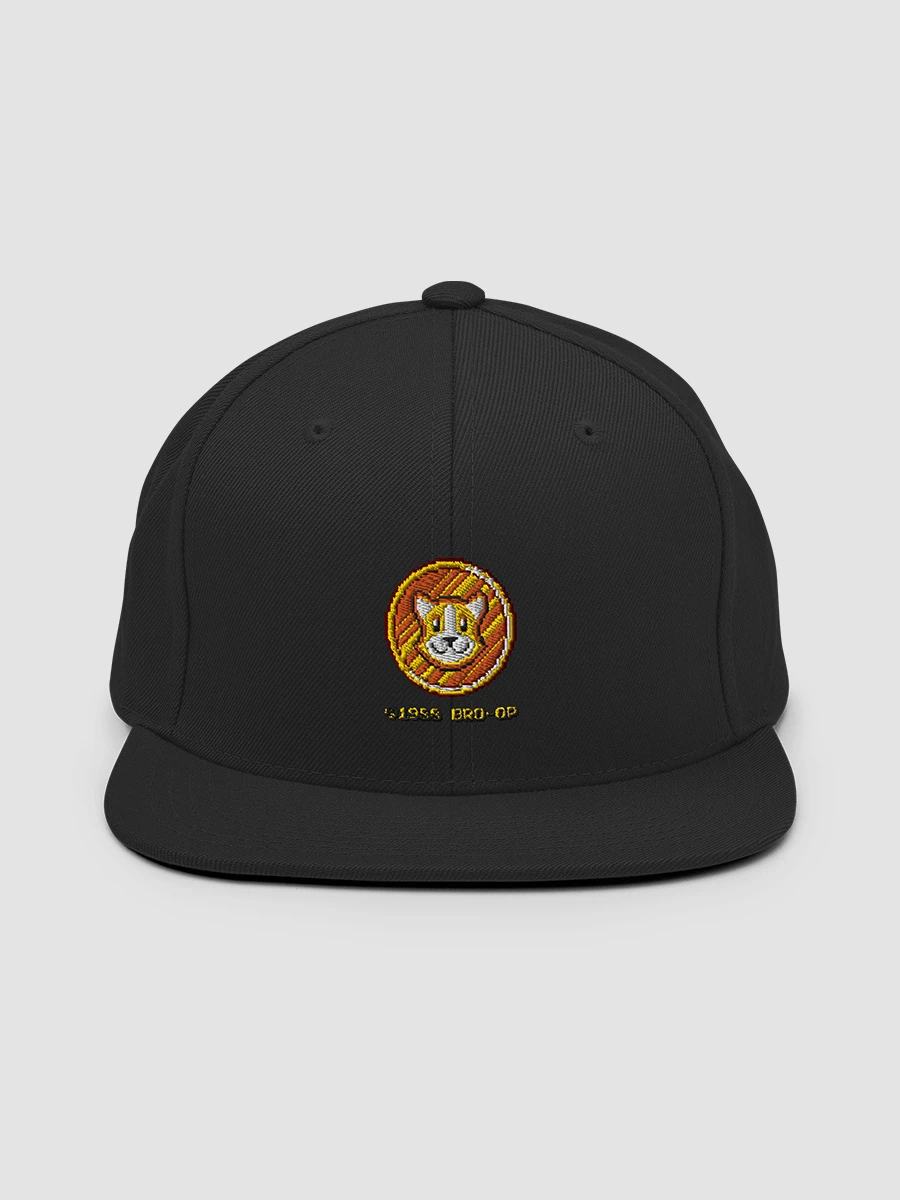 Continue Coin Snapback product image (2)