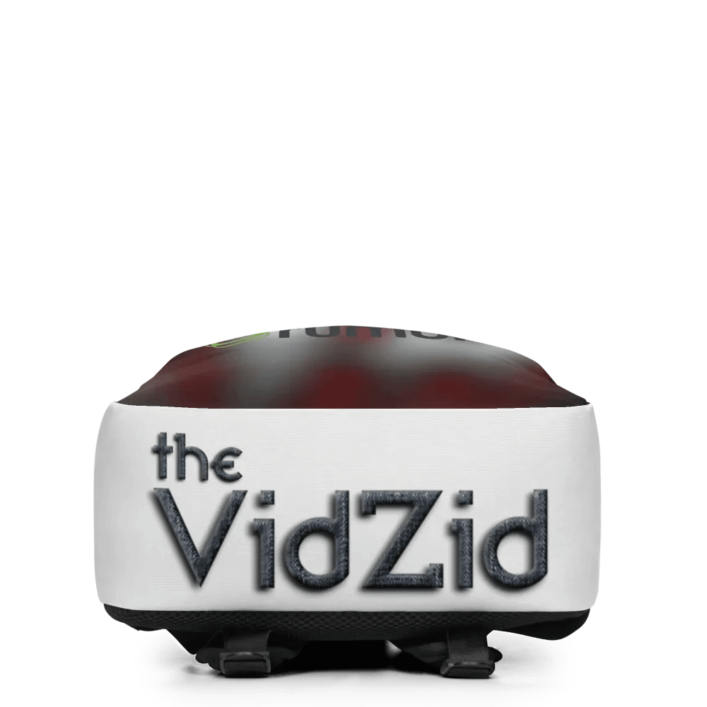 The VidZid Backpack product image (4)