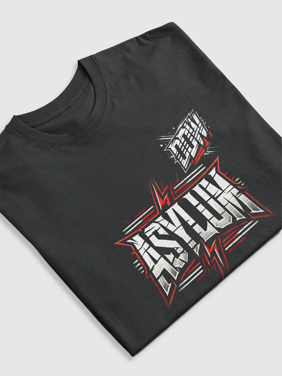 DDW ASYLUM HEAVY T-SHIRT product image (5)
