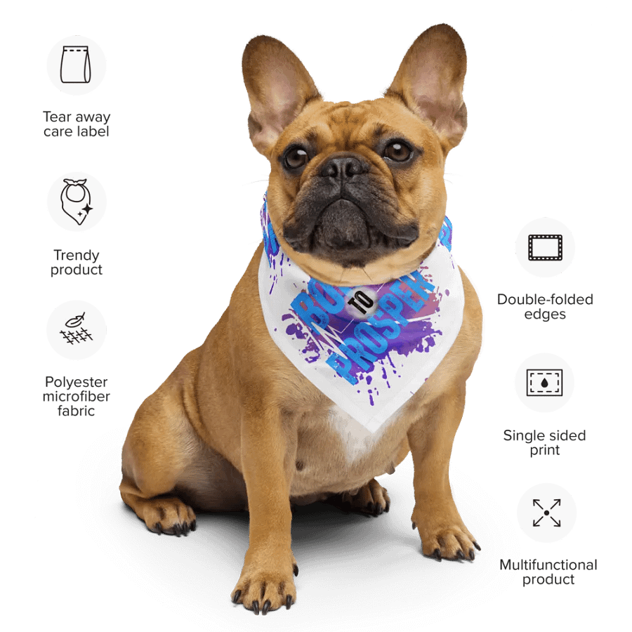 Born to Prosper Patterned Print Bandana product image (8)