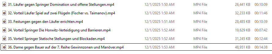 Die Kunst des Endspiels: Verwandeln Sie jeden Vorteil in einen sicheren Sieg product image (8)