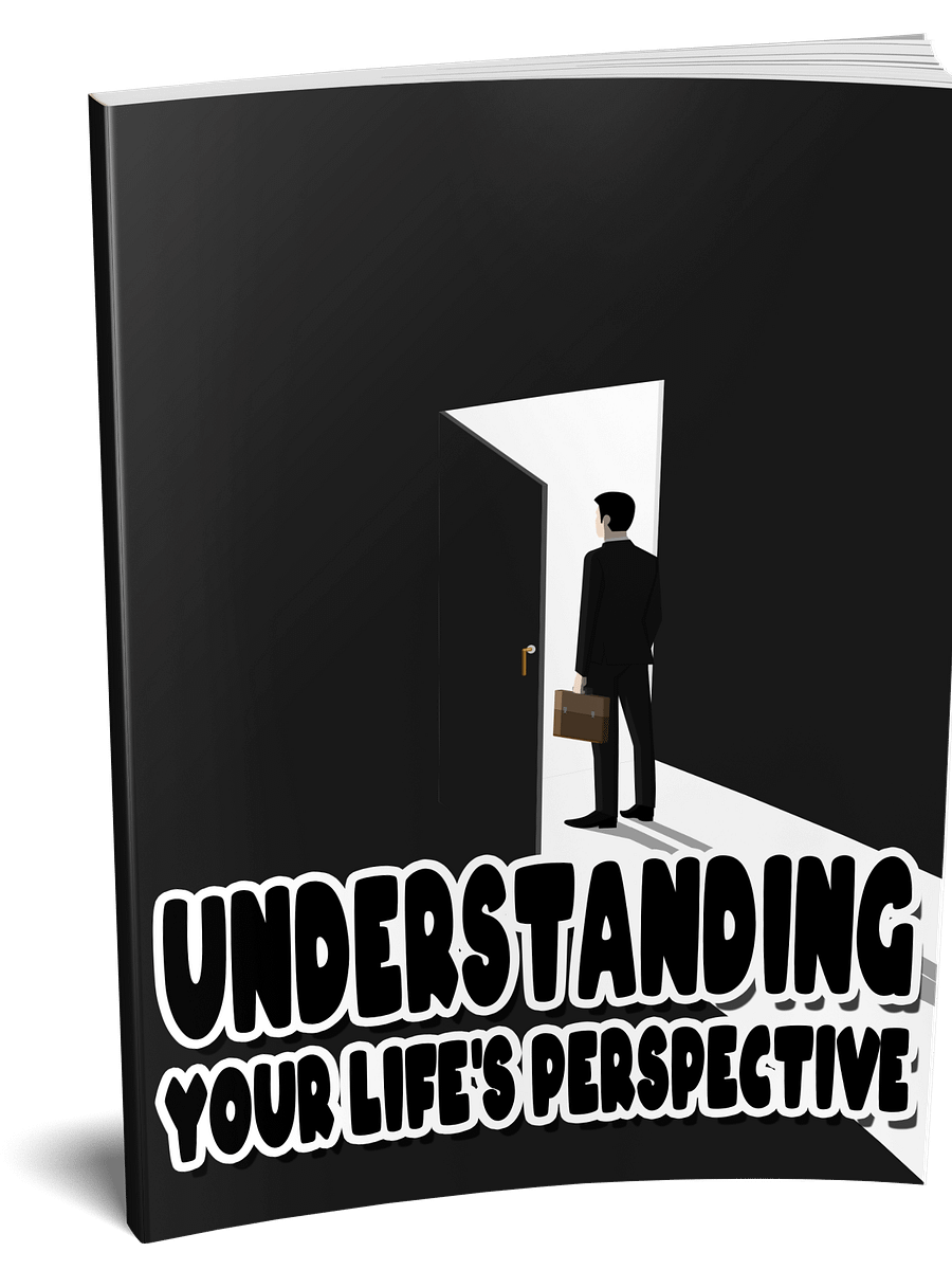 Understanding Your Life’s Perspective product image (1)