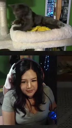 Kitty first day on stream with her own cam 🙀