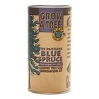 Colorado Blue Spruce | Seed Grow Kit product image (1)