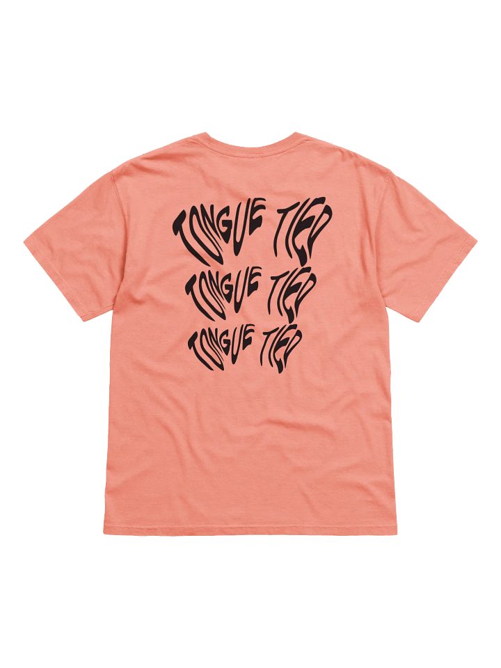 PARASYM Tee product image (22)
