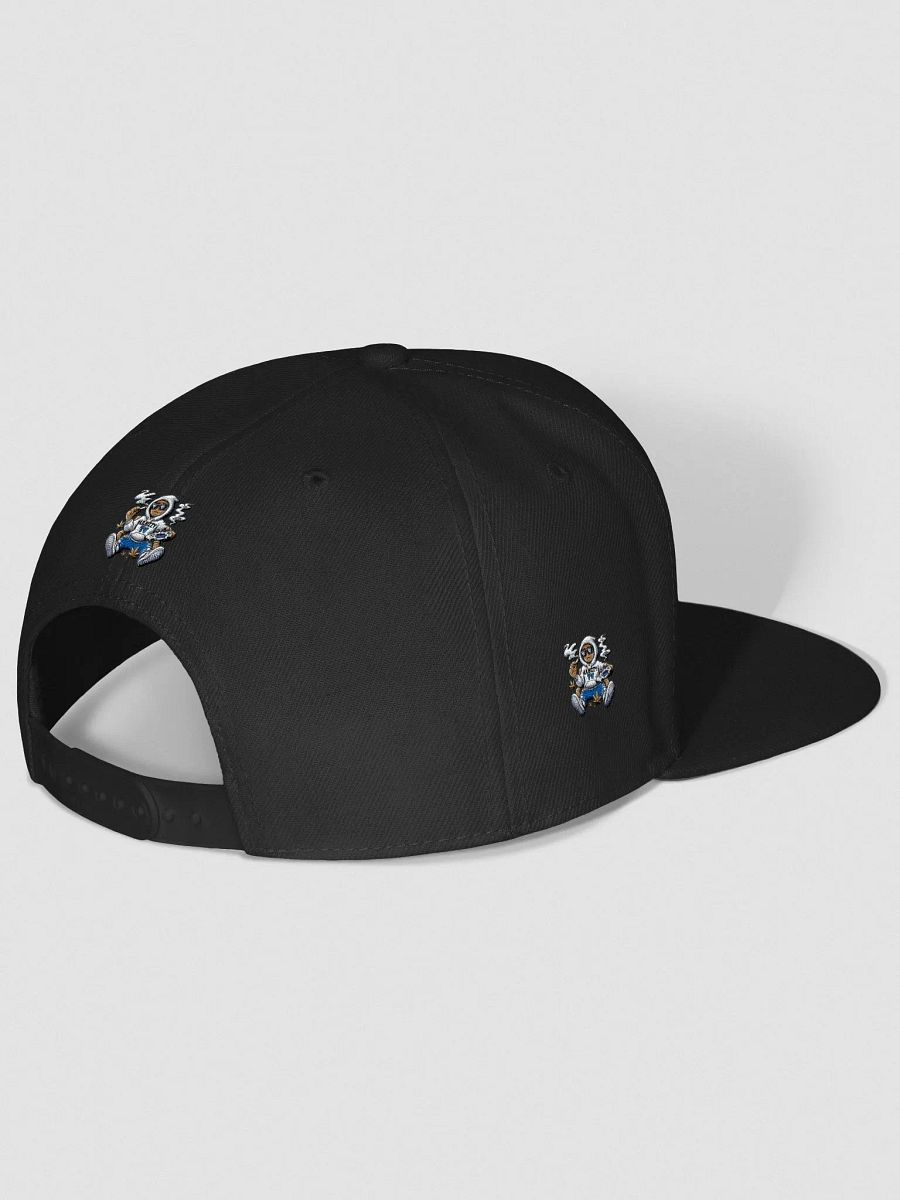 BizzWorld Drip snapback collection product image (32)