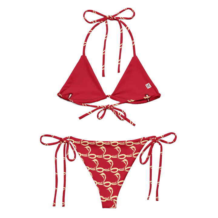 Snake Song Recycled Bikini Set product image (1)